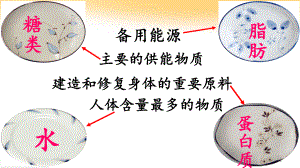 消化和吸收PPT课件.pptx