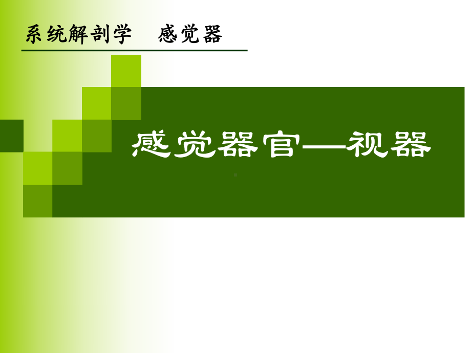 感觉器官—视器-人体解剖学课件.ppt_第1页