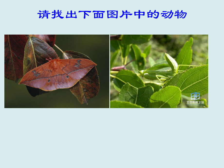 人教版初中生物《模拟保护色的形成过程》说课课件.ppt_第2页