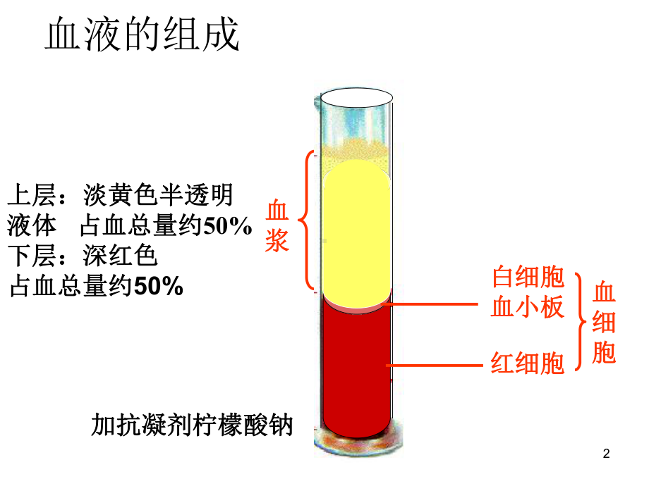 血液循环PPT课件.ppt_第2页