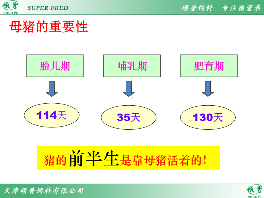 母猪的饲养管理-ppt课件.ppt_第2页