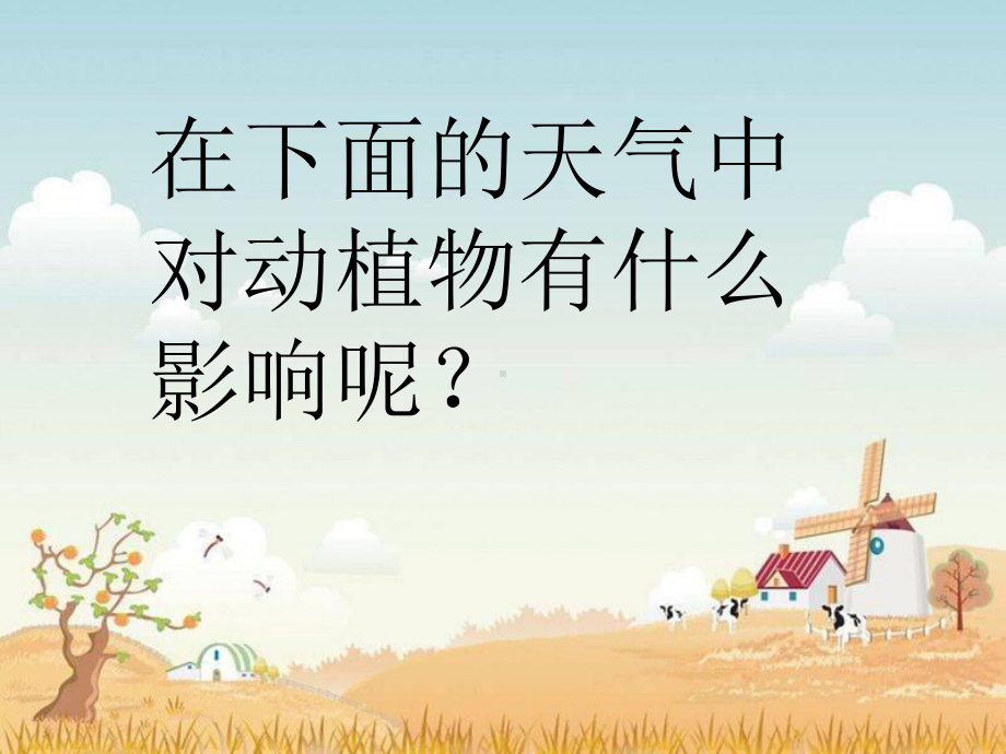 《天气与动植物》课件1.ppt_第3页