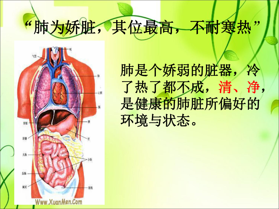 最新秋季养肺专题讲座主题讲座课件.ppt_第2页