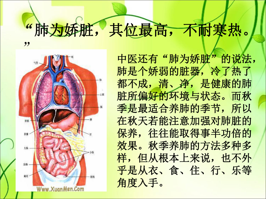 最新秋季养肺专题讲座主题讲座课件.ppt_第3页