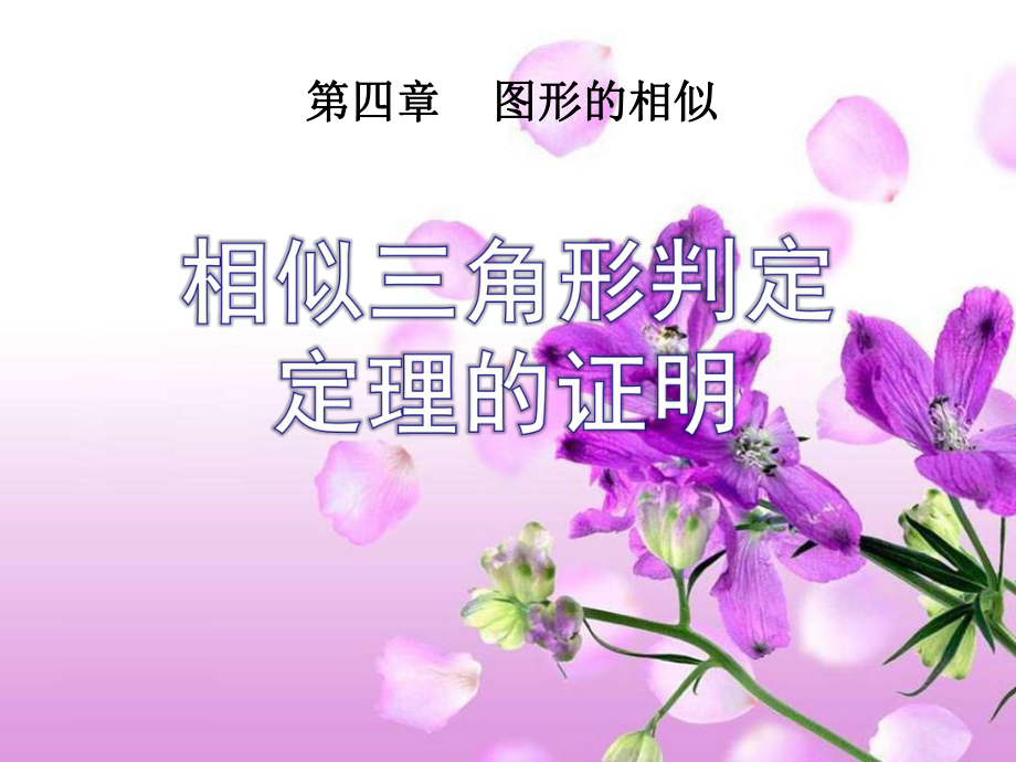 相似三角形判定定理的证明-图形的相似PPT精品教学课件2.pptx_第1页