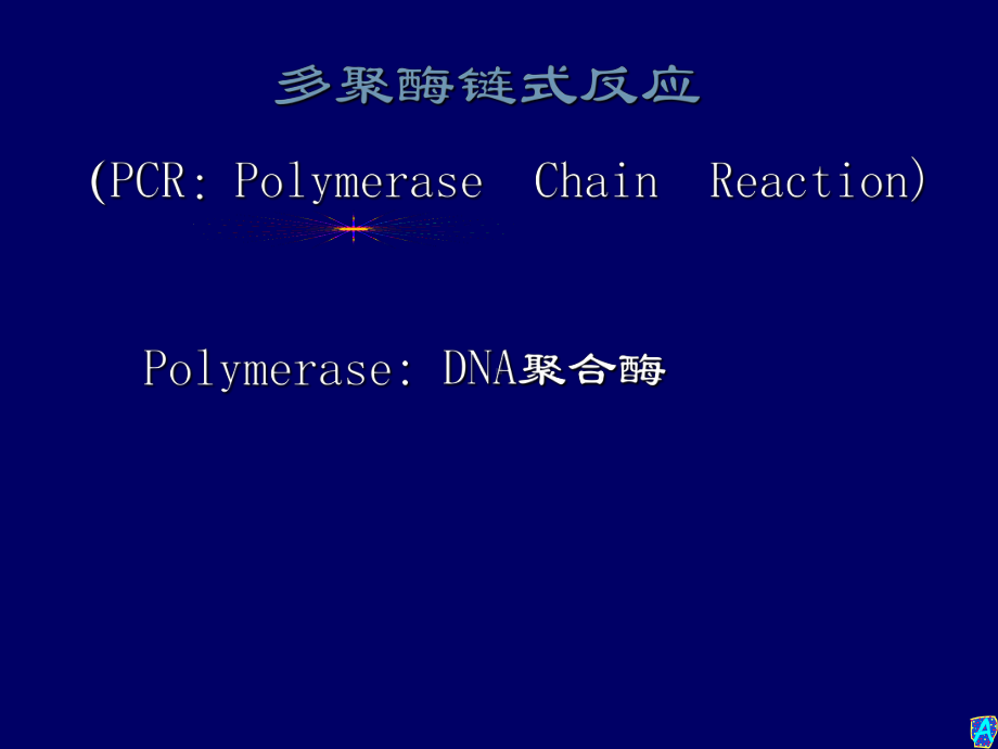 PCR技术-PPT课件.ppt_第3页