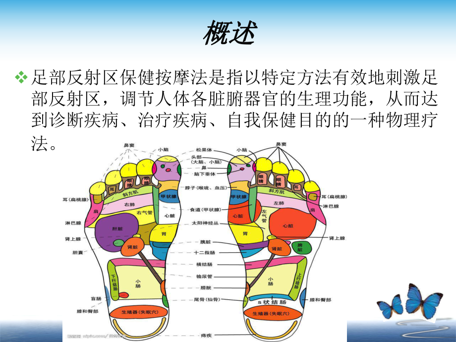 足部反射区疗法-ppt课件.ppt_第3页