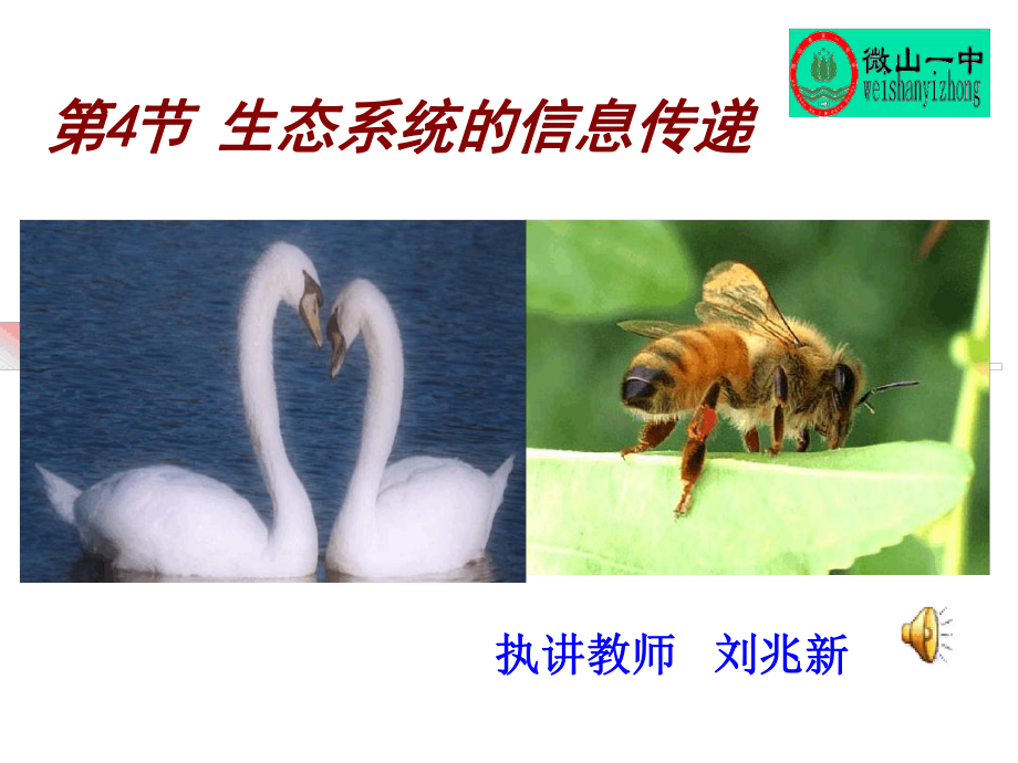 生态系统的信息传递课件市优质课.ppt.ppt_第1页