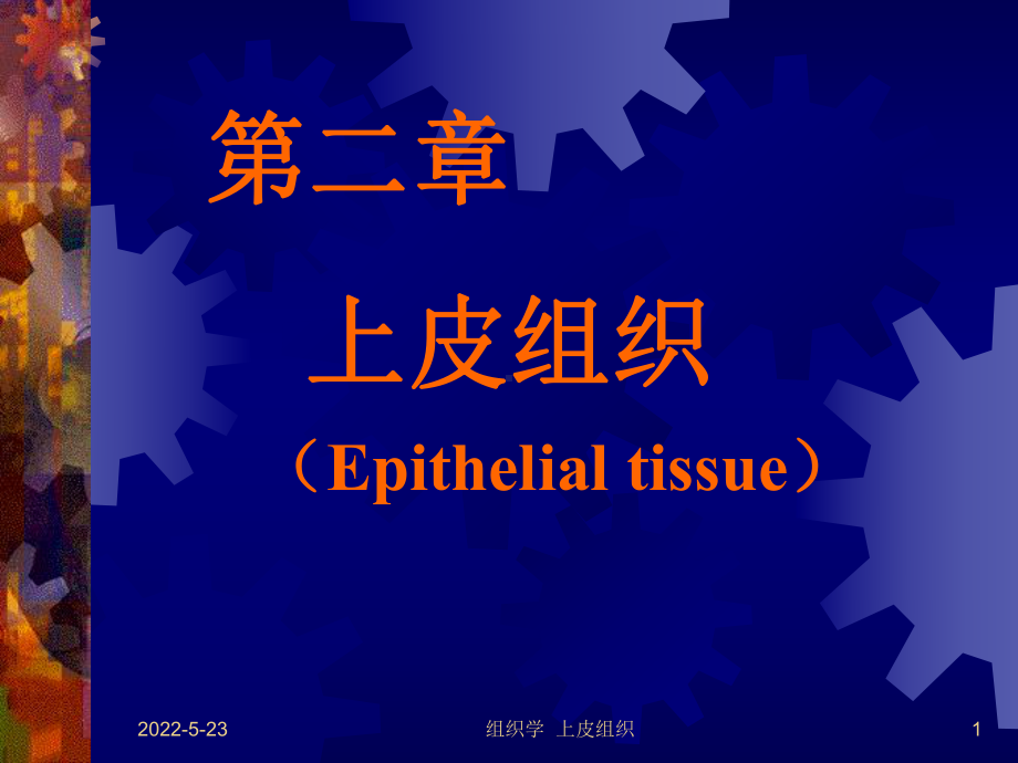 组织学与胚胎学上皮组织-PPT课件.ppt_第1页