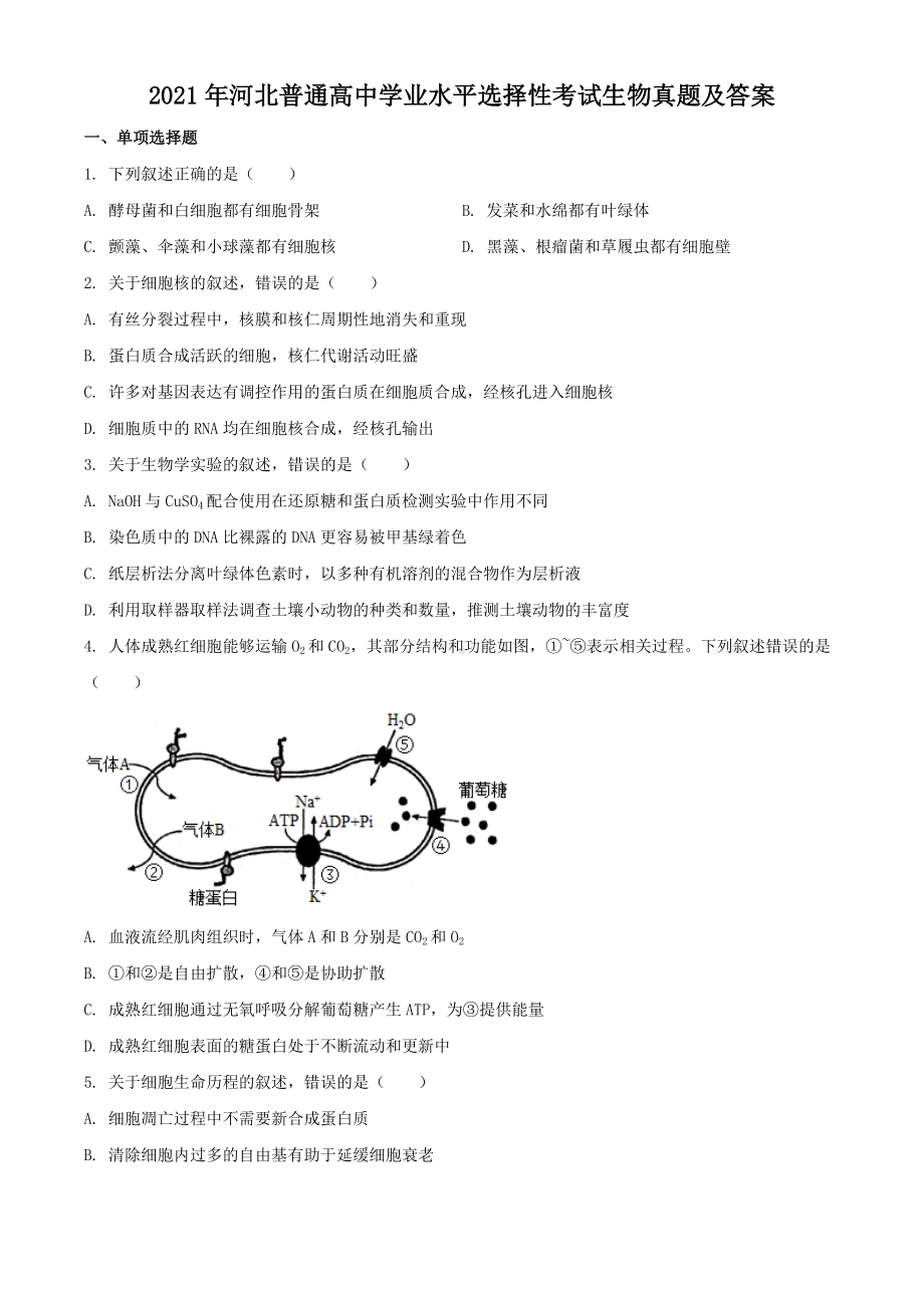 2021年河北普通高中学业水平选择性考试生物真题及答案.doc_第1页