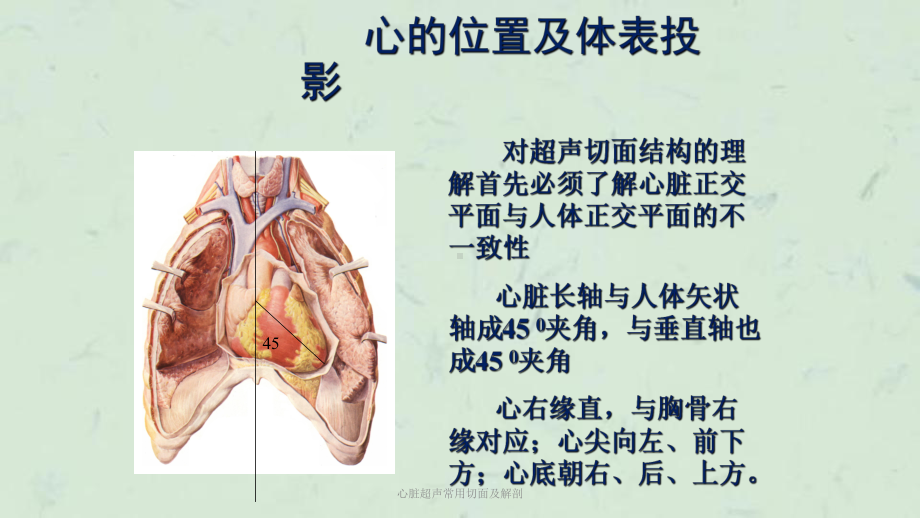 心脏超声常用切面及解剖课件.ppt_第3页