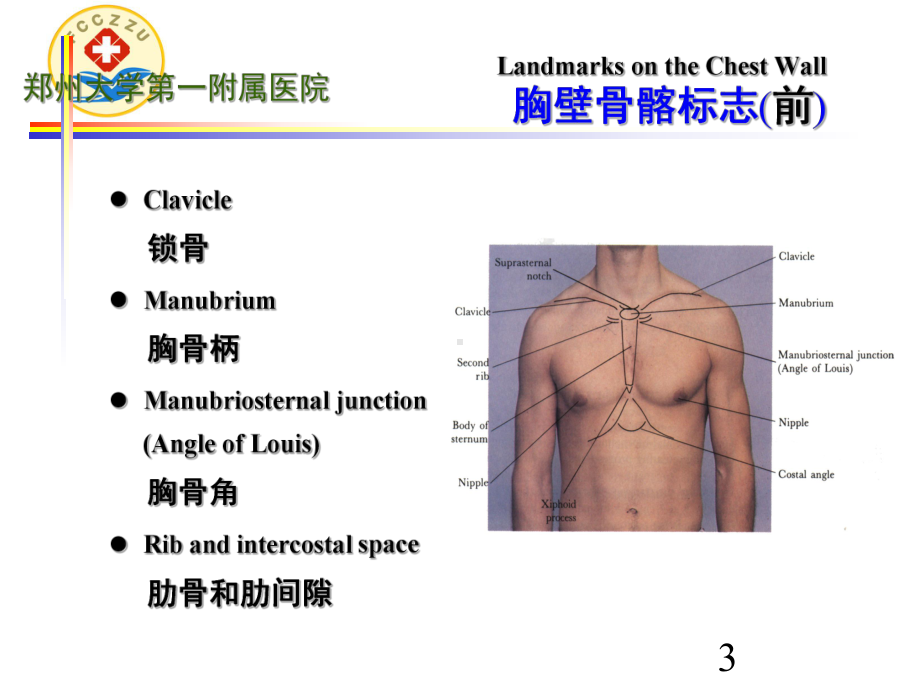 胸廓和肺部体格检查PPT课件.ppt_第3页