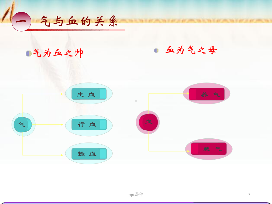 精气血津液神之间的关系-ppt-ppt课件.ppt_第3页