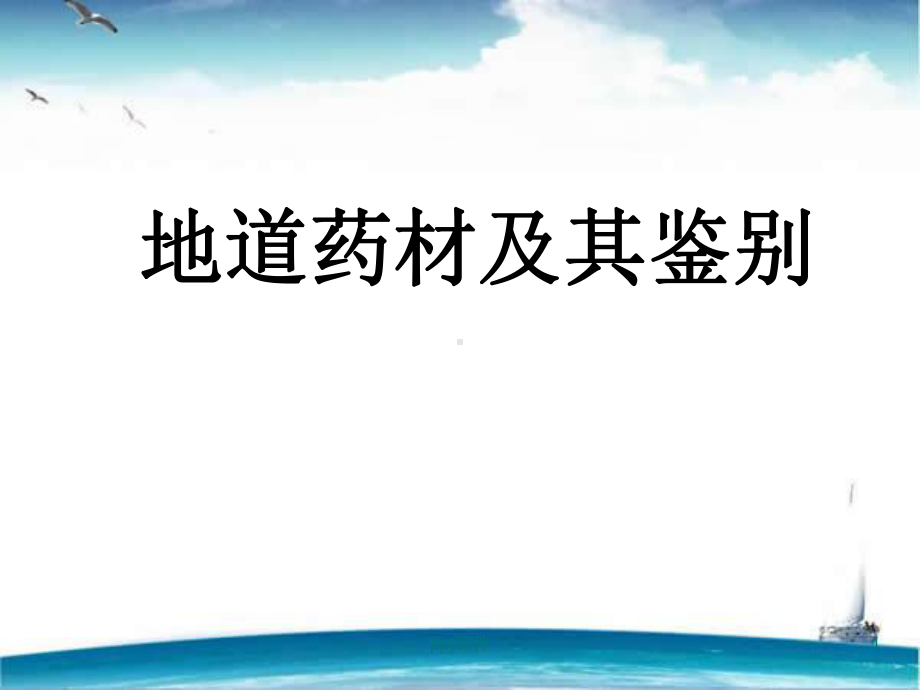 地道药材及鉴别-ppt课件.ppt_第1页