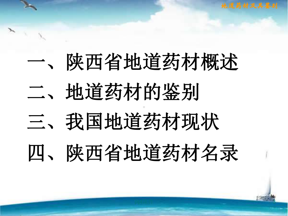 地道药材及鉴别-ppt课件.ppt_第3页