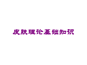 皮肤理论基础知识培训课件.ppt