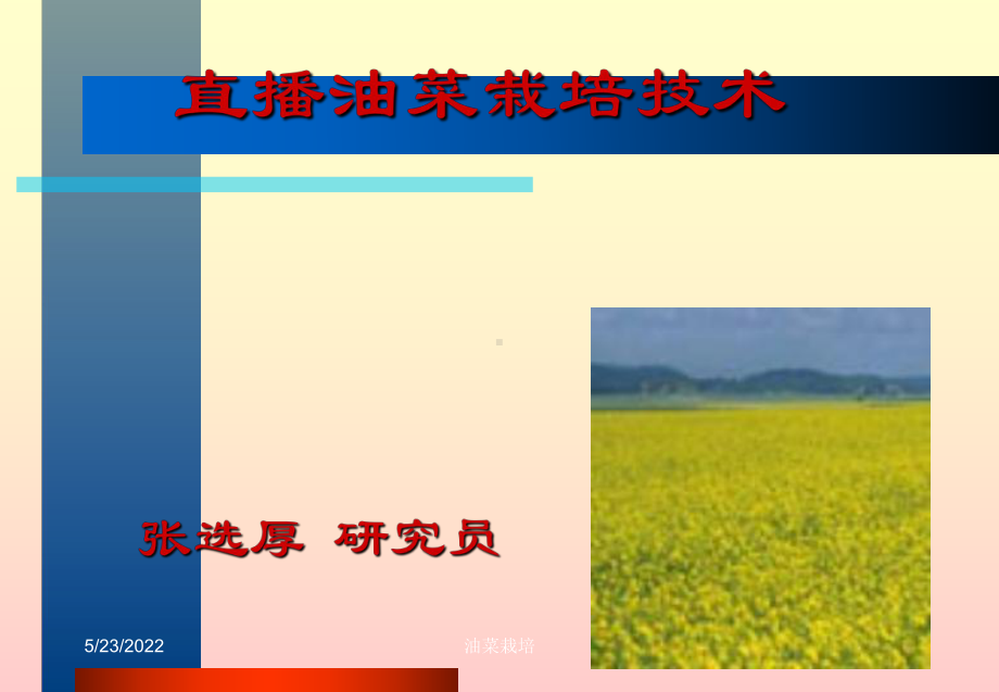 直播油菜栽培技术-ppt课件.ppt_第1页