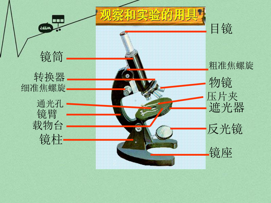 七年级生物上册-2.1.1-使用显微镜总复习课件.ppt_第2页