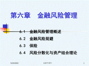 金融学课件第六章金融风险管理.ppt