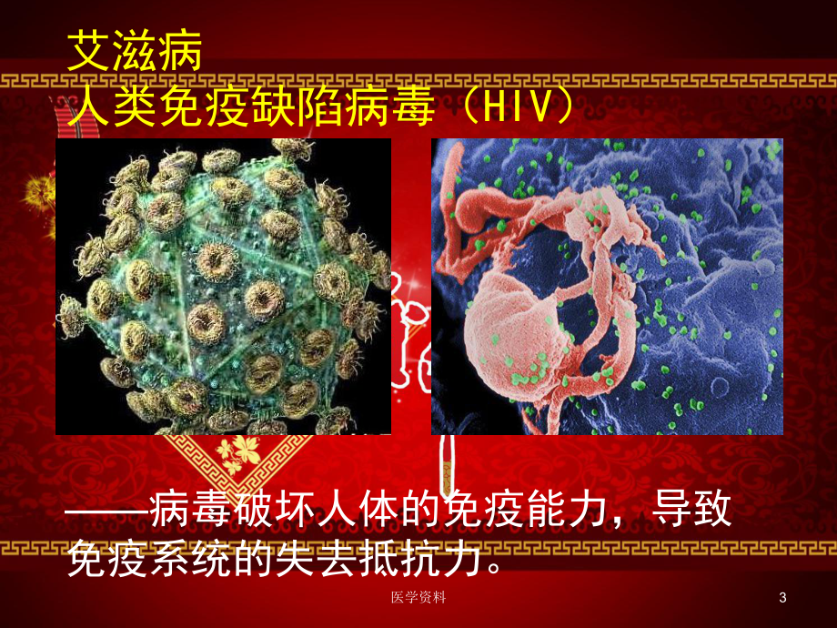 微生物与人类的关系-ppt课件.ppt_第3页