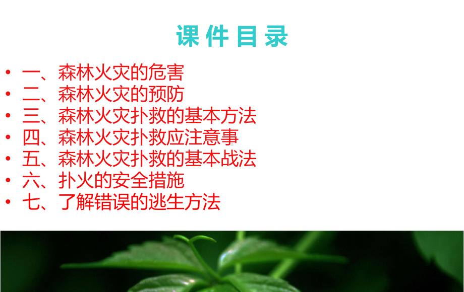 森林火灾的预防和扑救1PPT课件.ppt_第3页