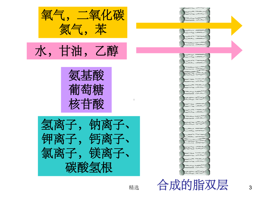 物质跨膜运输的方式ppt课件.ppt_第3页