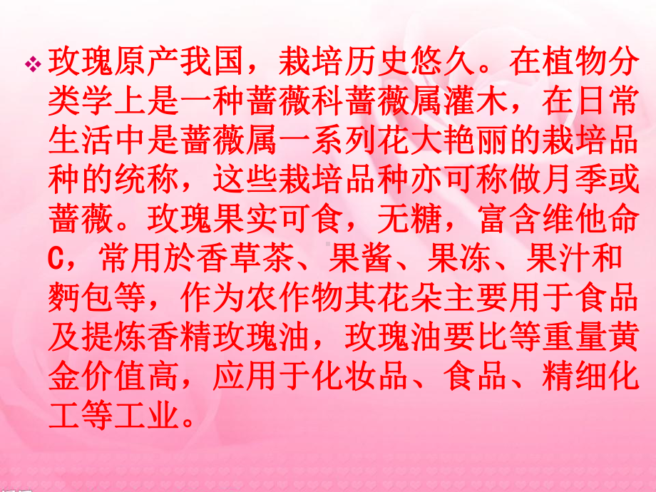 玫瑰的栽培技术ppt课件.ppt_第2页