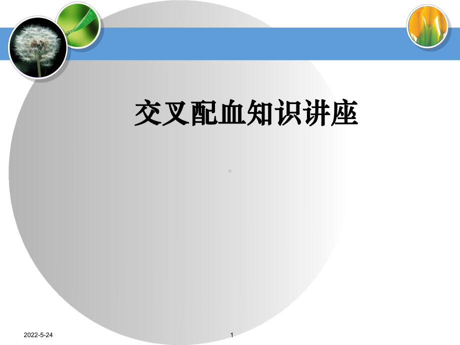 交叉配血知识讲座1-PPT课件.ppt_第1页