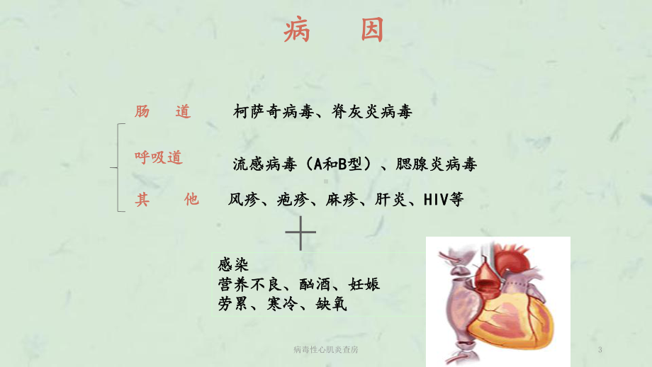 病毒性心肌炎查房课件1.ppt_第3页