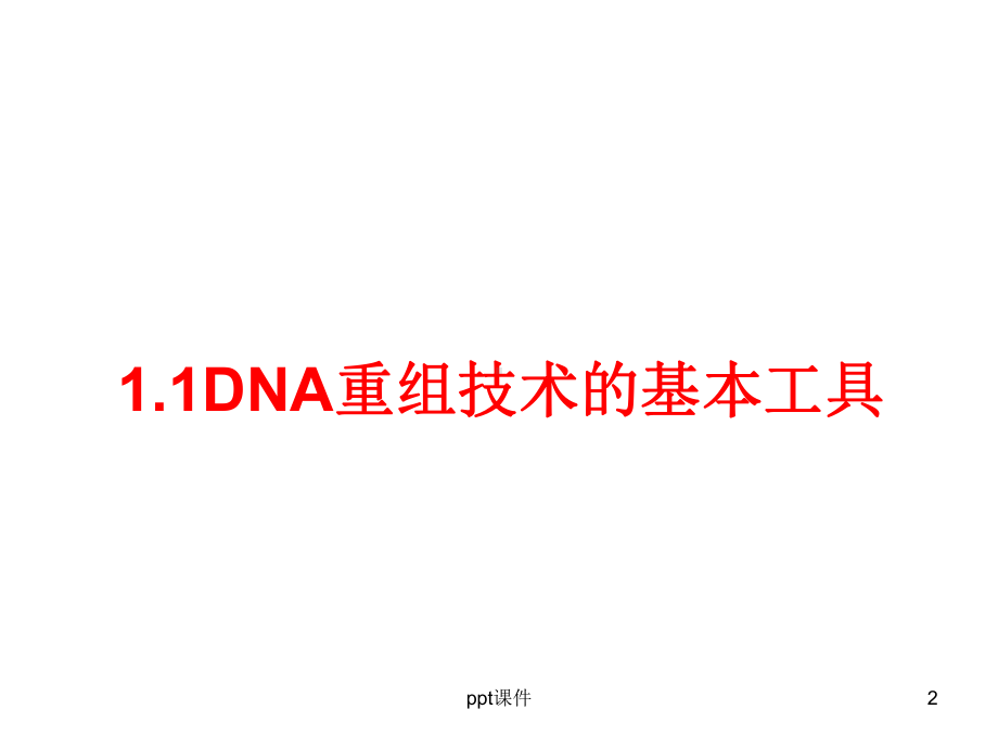 基因工程基本工具-ppt课件.ppt_第2页