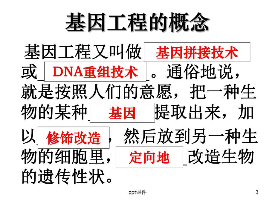 基因工程基本工具-ppt课件.ppt_第3页