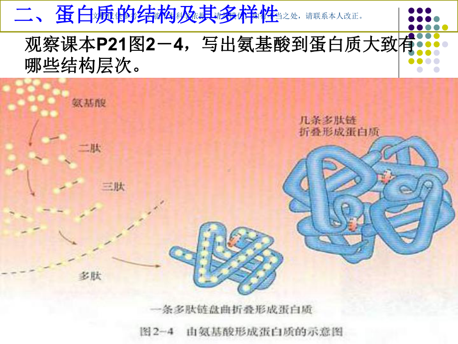 氨基酸脱水缩合(2)课件.ppt_第2页