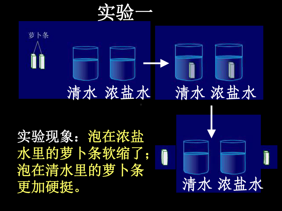 北师大版吸收作用PPT课件.ppt_第3页