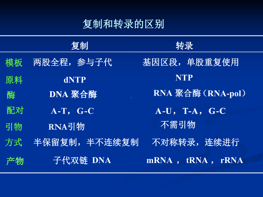 RNA的生物合成（转录）课件.ppt_第3页