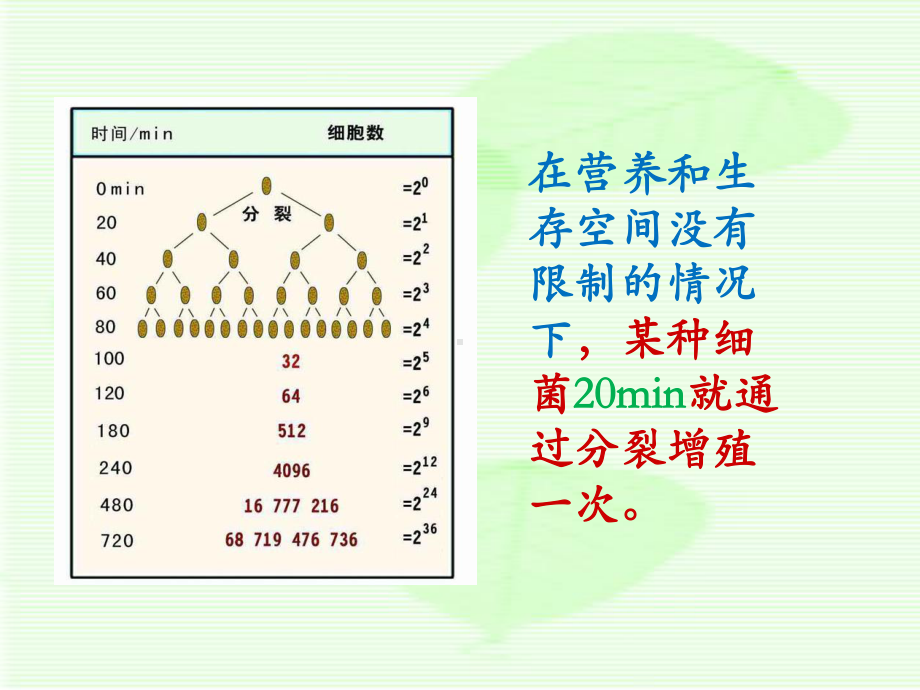 甘肃省会宁县第四中学高中生物必修三课件：第2节-种群数量的变化(共32张PPT).ppt_第3页