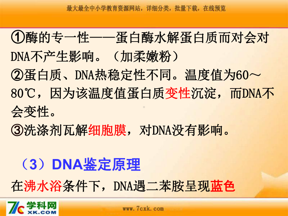 人教版生物选修一专题5《DNA和蛋白质技术》ppt课件1.ppt.ppt_第3页