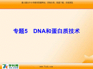 人教版生物选修一专题5《DNA和蛋白质技术》ppt课件1.ppt.ppt