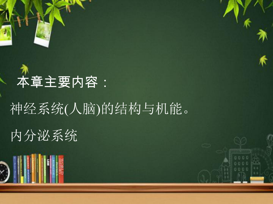 心理的神经生理机制-PPT课件.ppt_第3页