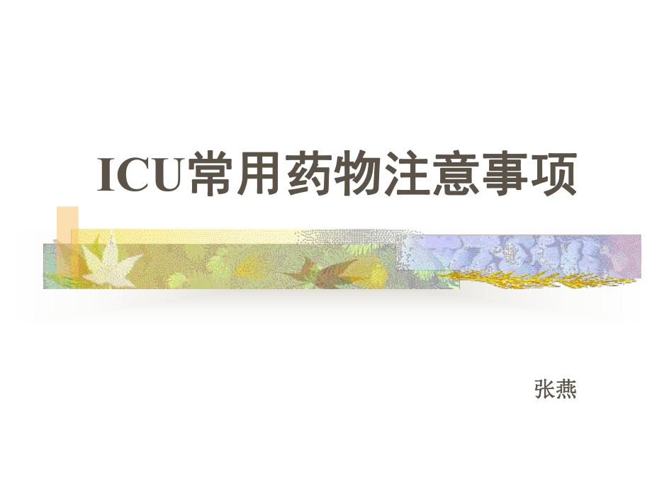 icu常用药物使用注意事项 ppt课件.ppt_第1页