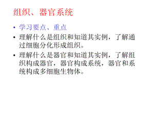 [课件]组织、器官、系统2.ppt