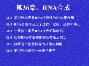 生物化学课件PPT（生物技术类）之第36章RNA合成.ppt