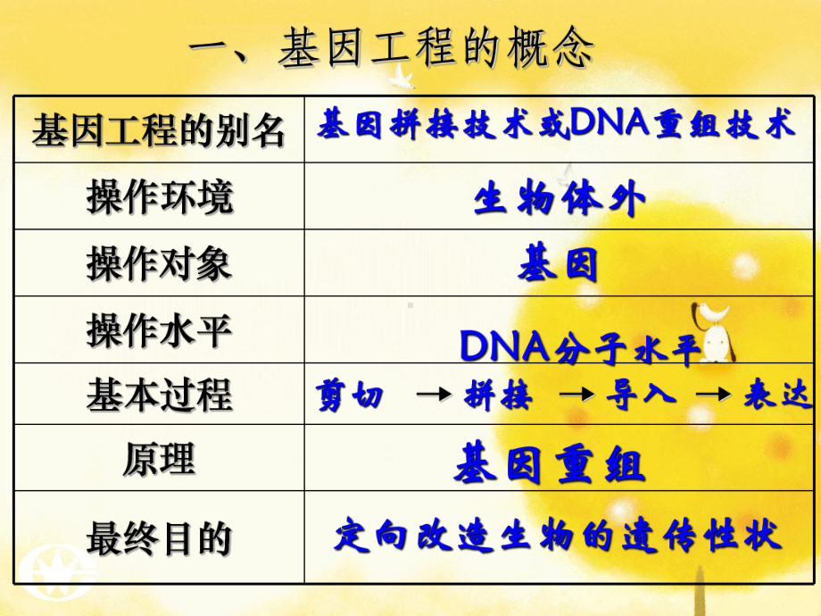 DNA重组技术的基本工具课件1.ppt_第3页