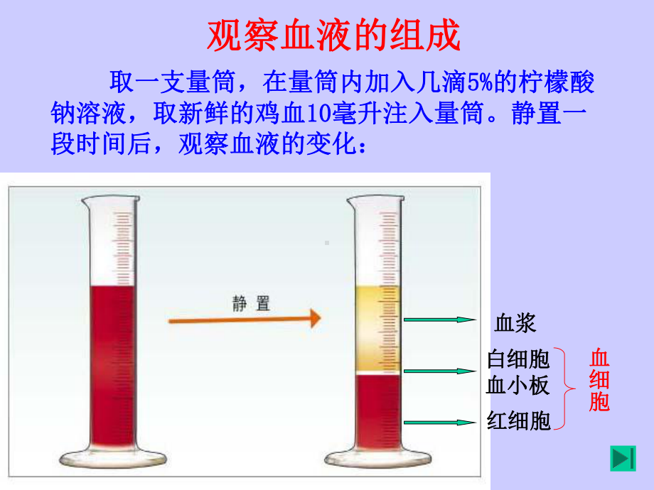 人教新课标版初中七下4.1流动的组织—血液ppt课件4.ppt_第3页