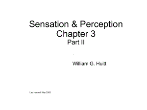 sensation-perception-普通心理学感觉和知觉-英文课件.ppt