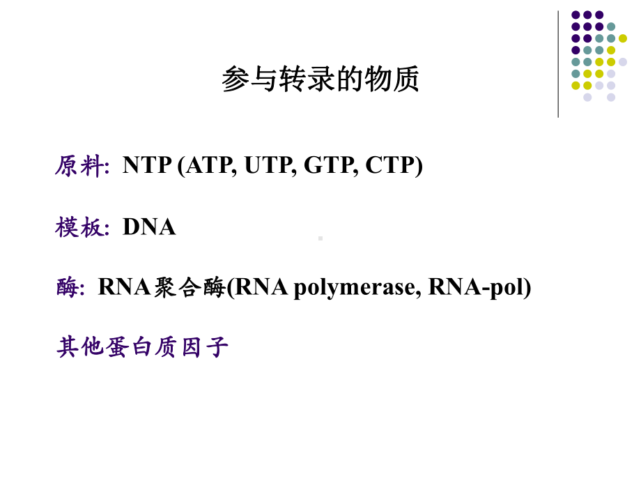 （农学）RNA的生物合成(动物生化)PPT模版课件.ppt_第3页