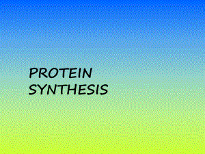 蛋白质的合成 [初中生物 教学课件 PPT课件].ppt