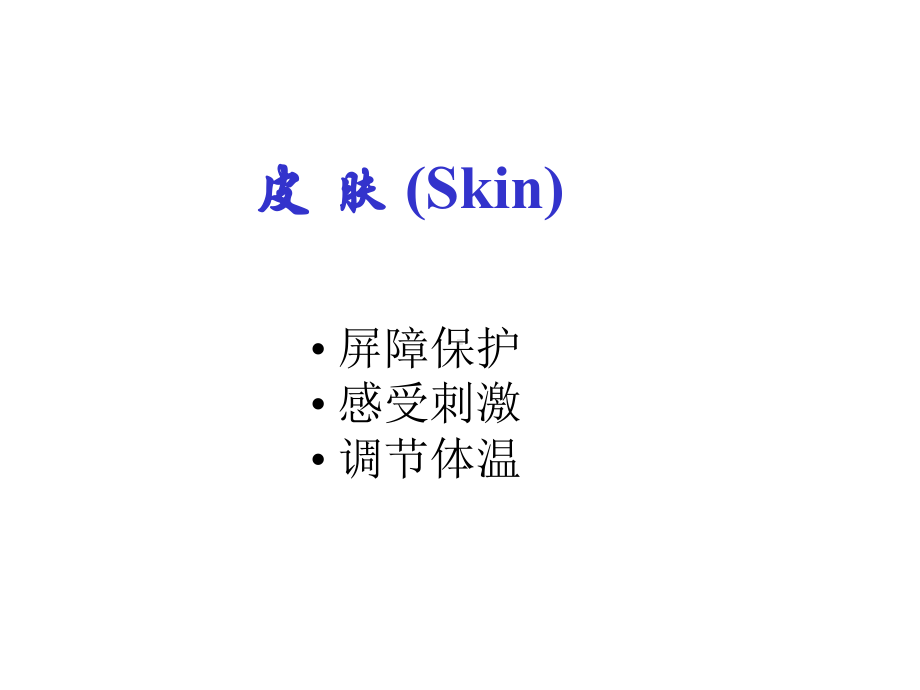 组织胚胎学 第十一章 皮肤课件.ppt_第1页