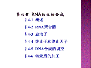 分子生物学课件 RNA的生物合成.ppt