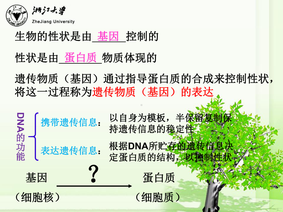 高中生物遗传信息的表达 -rna和蛋白质的合成课件人教版必修二.ppt_第2页