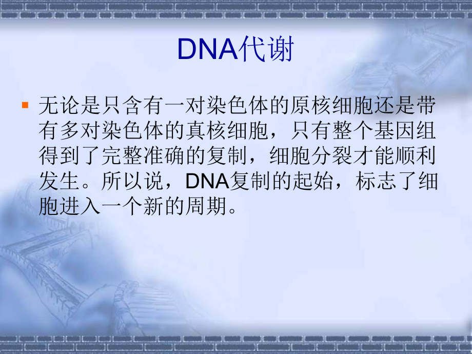 （生物课件）第三讲 DNA与RNA生物合成.ppt_第3页